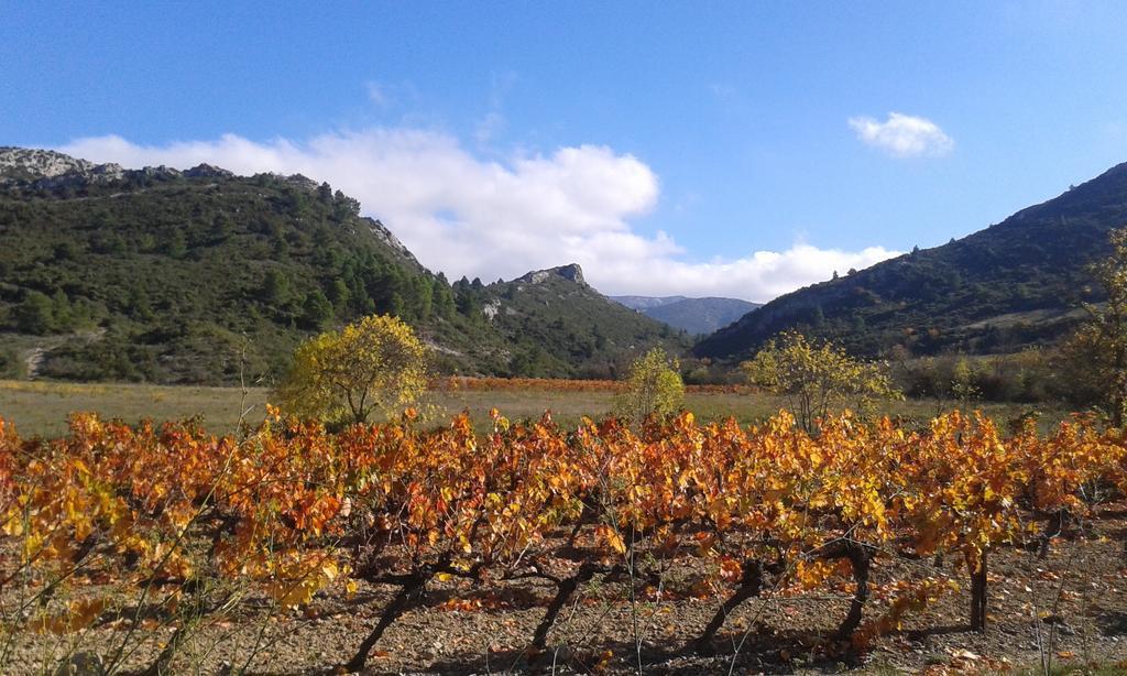 Au Paradis Cathare Fraisse-des-Corbieres Exterior photo